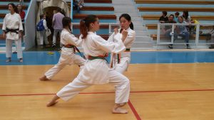 KARATE 3